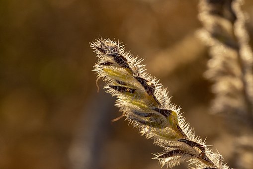 做一个优秀的大学生家教，需要注意哪些事项？