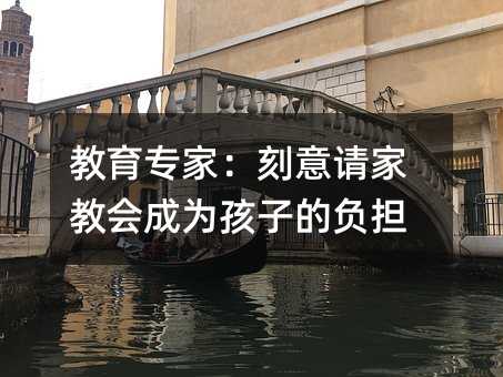 教育专家：刻意请家教会成为孩子的负担